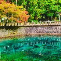 別府弁天池の写真・動画_image_453705