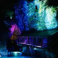 秋芳洞の写真・動画_image_453706