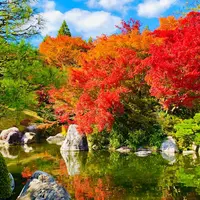 三景園の写真・動画_image_453708