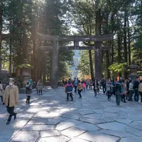 日光東照宮の写真・動画_image_453748