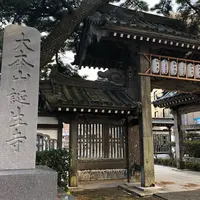 誕生寺の写真・動画_image_455550