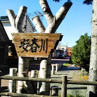 安春川の写真・動画_image_456175