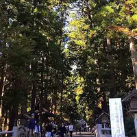 小國神社の写真・動画_image_457927