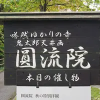 圓流院の写真・動画_image_459096