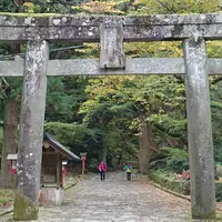 石畳の参道の写真・動画_image_459099