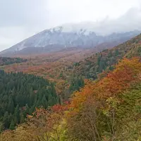 鍵掛峠の写真・動画_image_459105