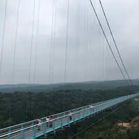 三島スカイウォークの写真・動画_image_459493