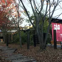 灯屋の写真・動画_image_459548