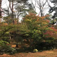 兼六園の写真・動画_image_460012