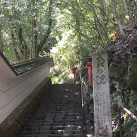 鞍馬山の写真・動画_image_460199