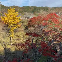 小原ふれあい公園の写真・動画_image_462170