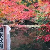 曽木公園の写真・動画_image_463011