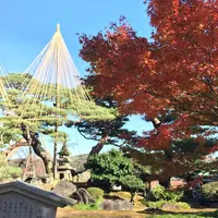 兼六園の写真・動画_image_463679