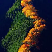 ナメゴ谷の写真・動画_image_464014