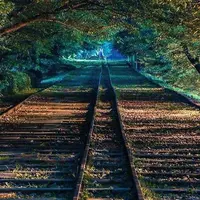 蹴上インクラインの写真・動画_image_464026