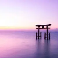 白鬚神社の写真・動画_image_464041