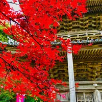 瑞光山 清水寺の写真・動画_image_464060