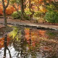 曽木公園の写真・動画_image_464111