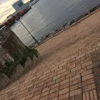 水の広場公園の写真・動画_image_464435