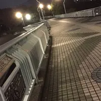 新左近川親水公園の写真・動画_image_464441