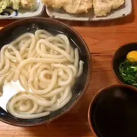 手打ちうどん つるやの写真・動画_image_465233