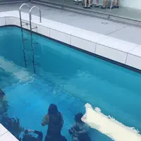 金沢21世紀美術館の写真・動画_image_465569