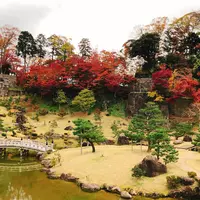 玉泉院丸庭園の写真・動画_image_465576