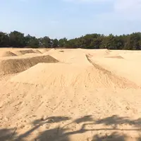 琴弾公園の写真・動画_image_467064