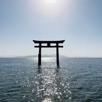 白鬚神社の写真・動画_image_467447