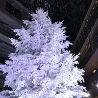 KITTEの写真・動画_image_467896