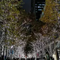 丸の内仲通りの写真・動画_image_467899