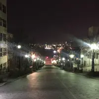 八幡坂の写真・動画_image_469137