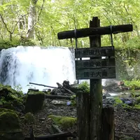 奥入瀬の写真・動画_image_472592