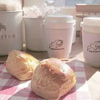 ウミネコ商店の写真・動画_image_473475