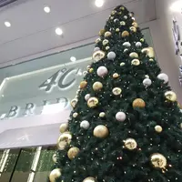 ４℃ Bridal｜結婚指輪・婚約指輪のブライダル専門店｜銀座本店の写真・動画_image_474213