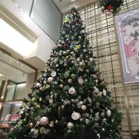 銀座三越の写真・動画_image_474233
