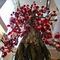 FENDIの写真・動画_image_474251