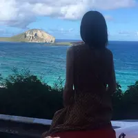 North Shore Shark Adventuresの写真・動画_image_474617