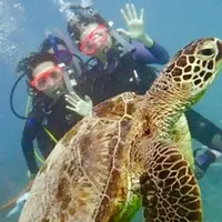 Sunshine Scubaの写真・動画_image_474623