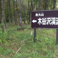 木谷沢渓流の写真・動画_image_475770