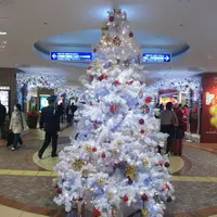 東京駅の写真・動画_image_476001