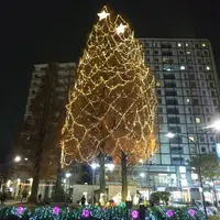 阿佐ヶ谷駅の写真・動画_image_476100