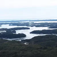 横山展望台の写真・動画_image_478136