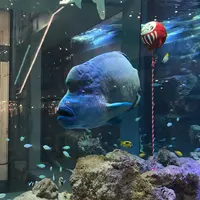 イオンモール沖縄ライカムの写真・動画_image_478610