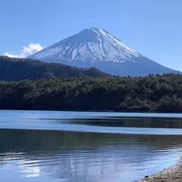 西湖の写真・動画_image_479120