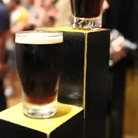 ダブリンの写真・動画_image_480181
