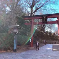 根津神社の写真・動画_image_480591