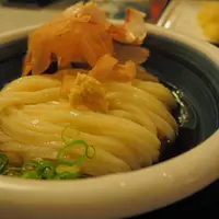 本格手打うどん おか泉の写真・動画_image_481555