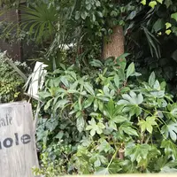 カフェモールの写真・動画_image_482926