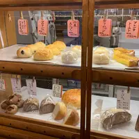 円麦の写真・動画_image_483342